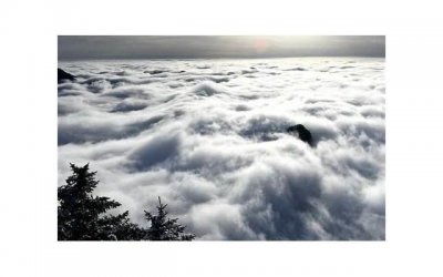 ​有哪些打动人心的经典爱情语录？