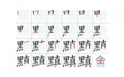 ​《关于字典的情话》精选20句