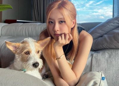 ​杨过的土味情话