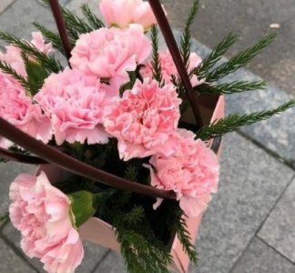 ​晚安正能量语句99条