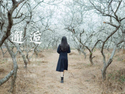 ​送红包祝福语